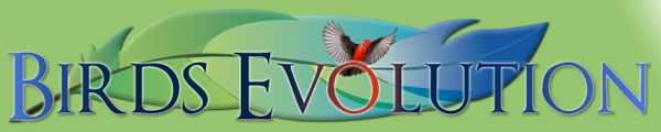 Birds Evolution Pro Breding Software